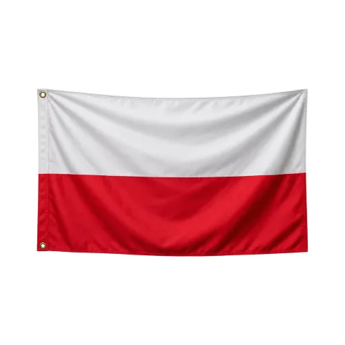 Steag Polonia