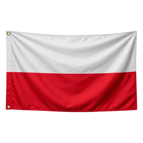 Steag Polonia