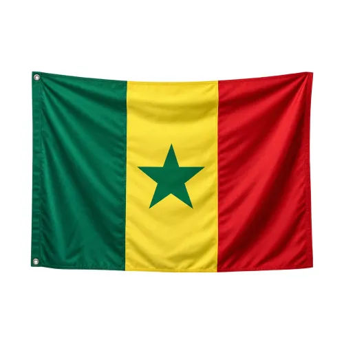 Steag Senegal