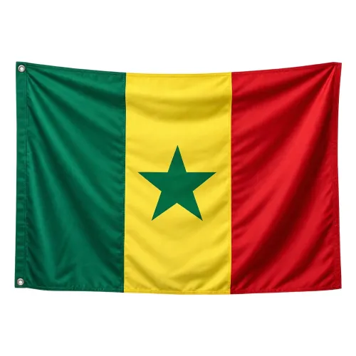 Steag Senegal