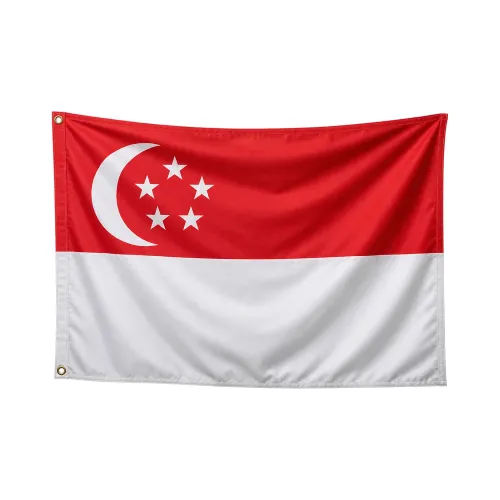 Steag Singapore
