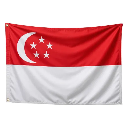 Steag Singapore