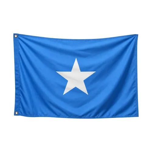 Steag Somalia