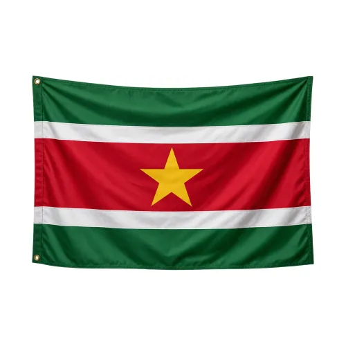 Steag Surinam