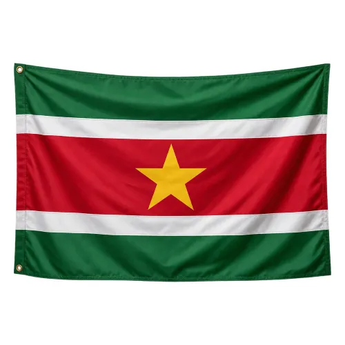 Steag Surinam