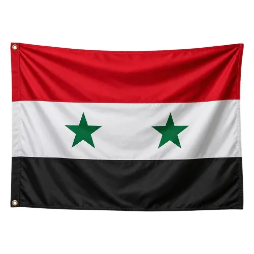 Steag Siria