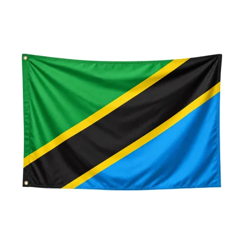 Steag Tanzania