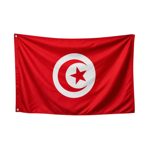 Steag Tunisia