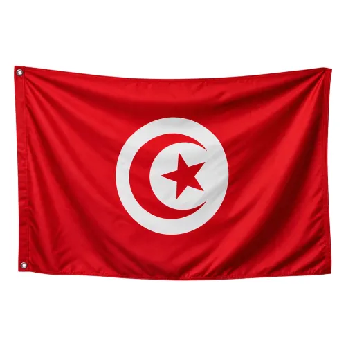 Steag Tunisia