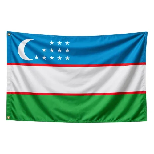 Steag Uzbekistan