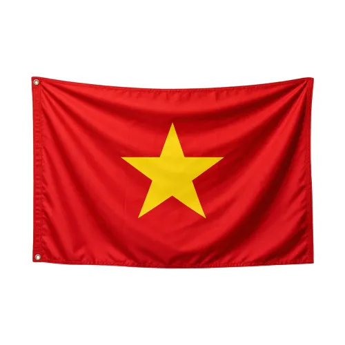 Steag Vietnam