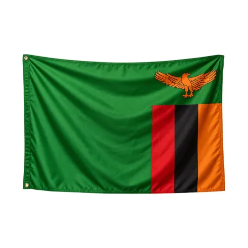 Steag Zambia