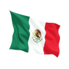Steag Mexic
