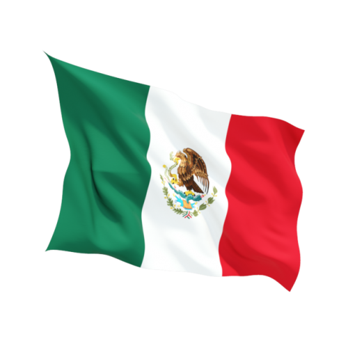 Steag Mexic