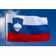 Steag Sloveniei
