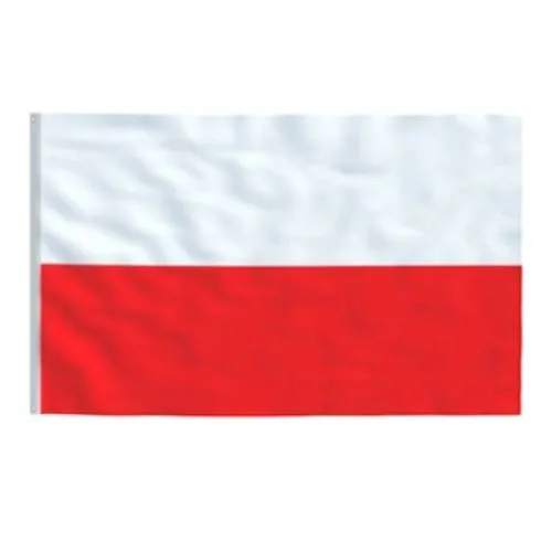 Steag Polonia
