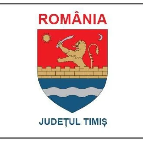 Steag Timiș