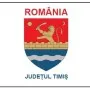 Flag of Timis