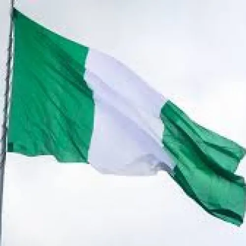 Steag Nigeria