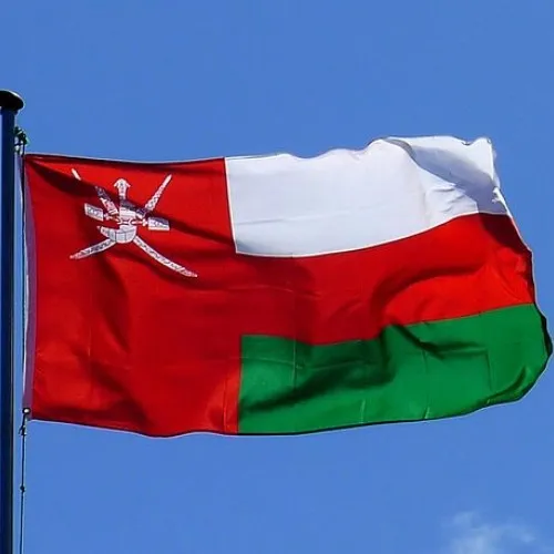 Steag Oman 