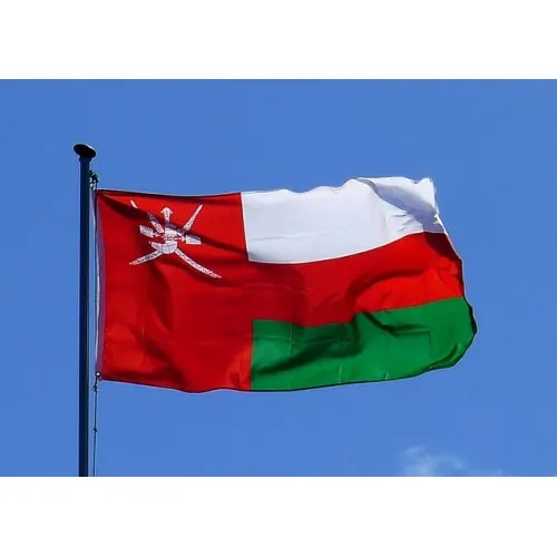 Steag Oman