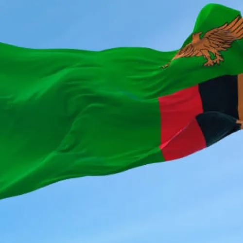 Steag Zambia