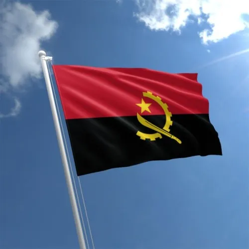 Steag Angola 