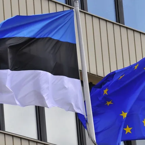 Steag Estonia