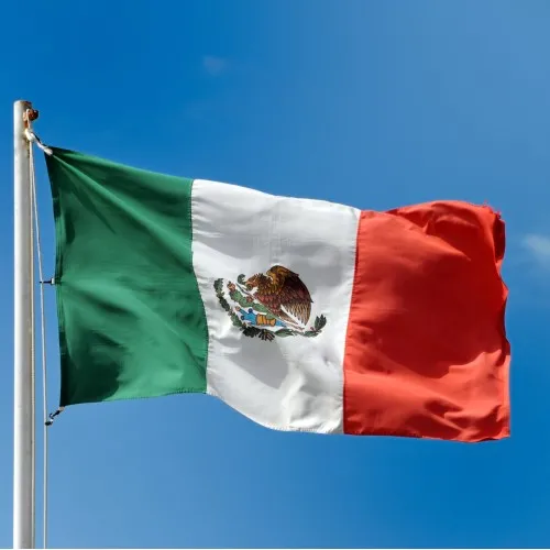 Steag Mexic