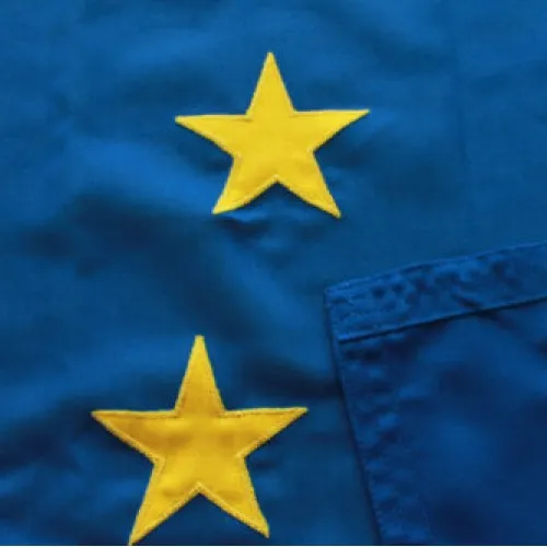 Steagul Uniunii Europene cu stele aplicate pe două fețe
