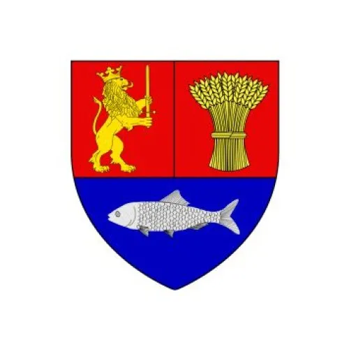Steag Dolj