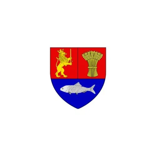 Steag Dolj