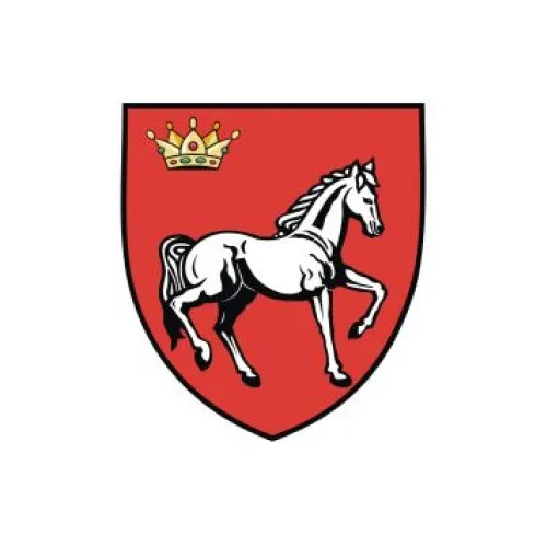 Steag Iași