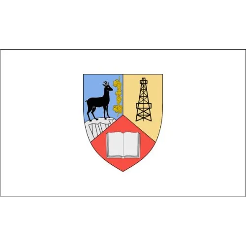 Flag of Prahova