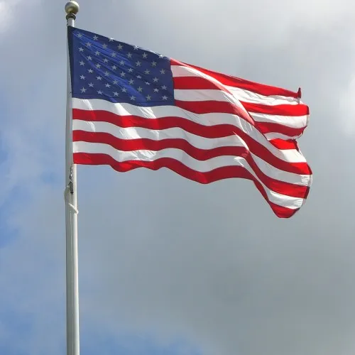 Steag Statelor Unite ale Americii