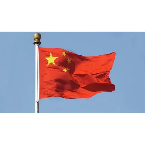 Steag China