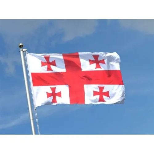 Steag Georgia