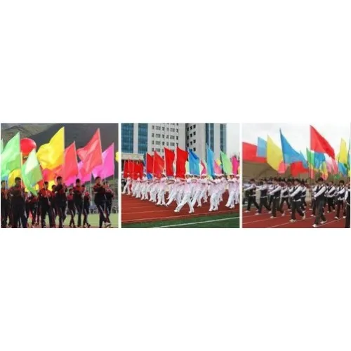 Lance metalică petru steaguri extensibilă, 200 cm