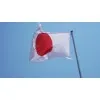 Steag Japonia