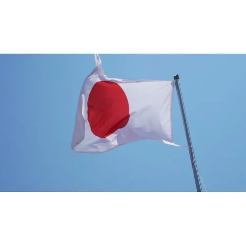Steag Japonia