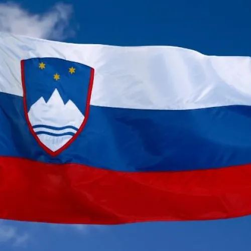 Steag Sloveniei