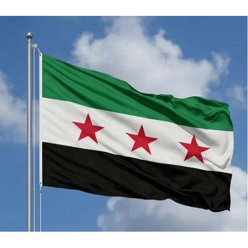 Steag Siria