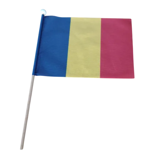 Steag România 15 x 21 cm cu băţ de lemn