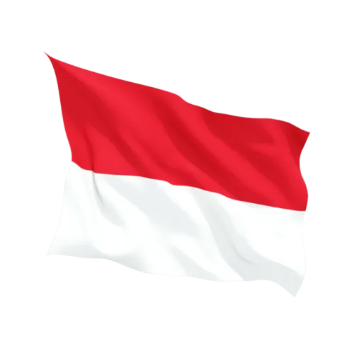 Steag Indonezia