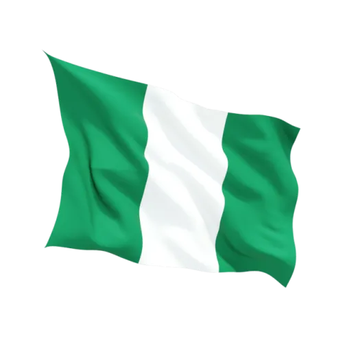 Steag Nigeria