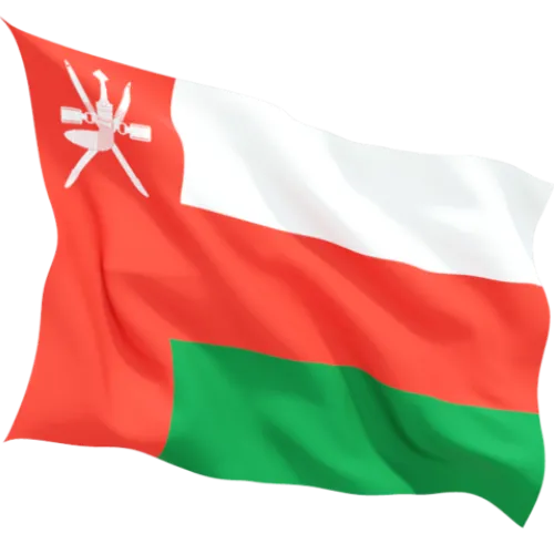 Steag Oman 