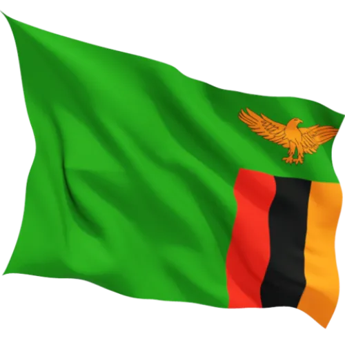 Steag Zambia