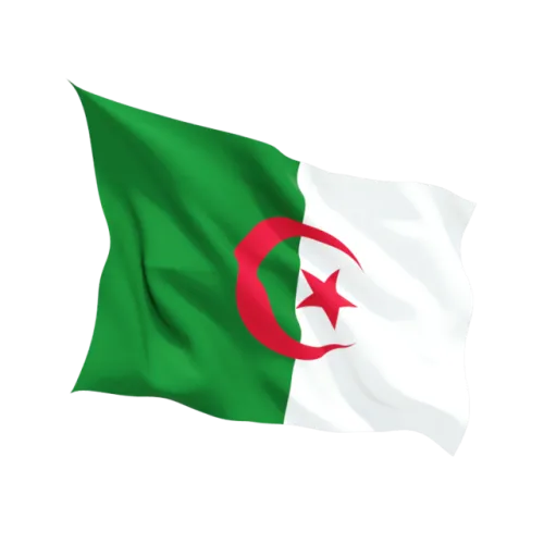 Steag Algeria