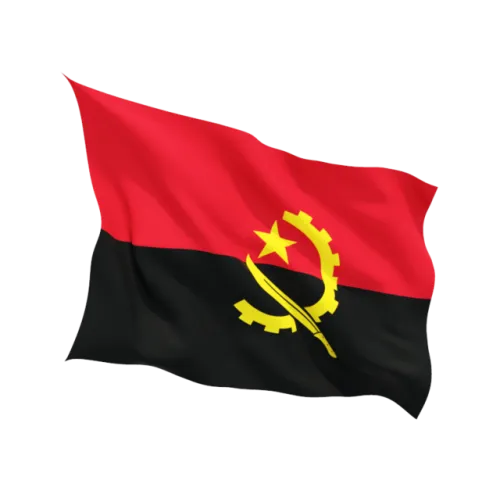 Steag Angola 