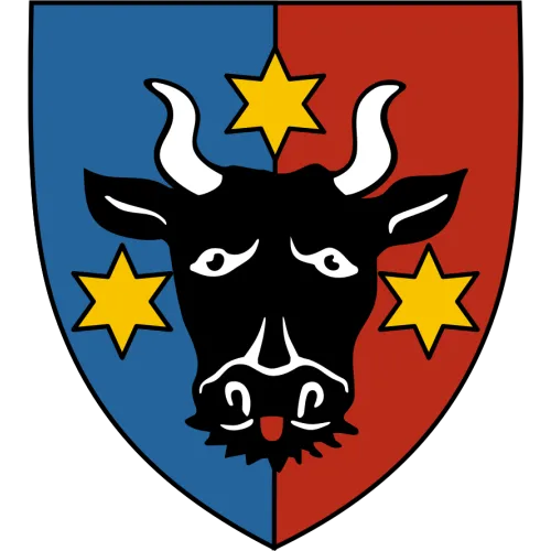 Flag of Bucovinei